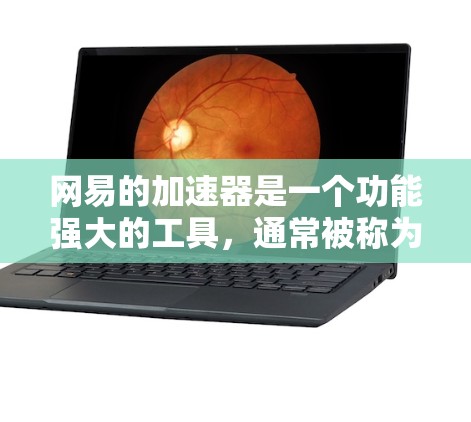 网易的加速器是一个功能强大的工具，通常被称为网易云加速器（Yuns Accelerator）它可以用来加速网页浏览、下载文件等。以下是关于网易云加速器的一些信息