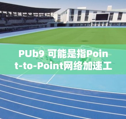 PUb9 可能是指Point-to-Point网络加速工具，这是一种通过多条独立的网络连接来加速数据传输的网络服务。它通常用于处理文件传输、视频流等数据，以提高速度和减少延迟