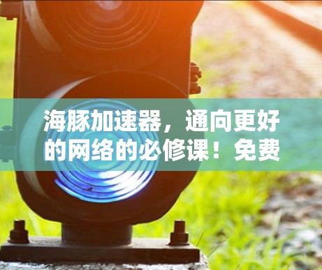 海豚加速器,通向更好的网络的必修课!免费9天,开启你的网络新纪元!