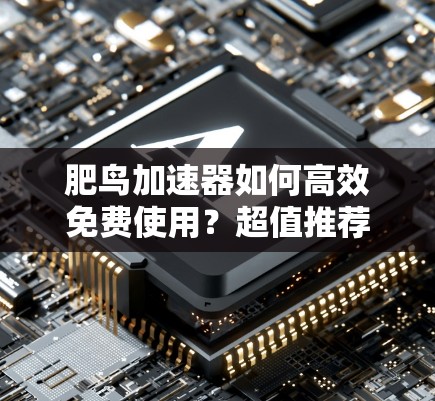 肥鸟加速器如何高效免费使用?超值推荐 肥鸟加速器如何高效免费使用?超值推荐