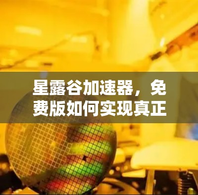 星露谷加速器，免费版如何实现真正的加速？