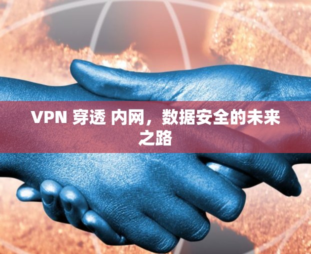 VPN 穿透 内网,数据安全的未来之路
