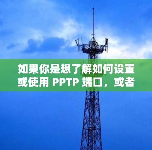 如果你是想了解如何设置或使用 PPTP 端口,或者有其他相关问题,请提供更多上下文信息,我会尽力帮助你
