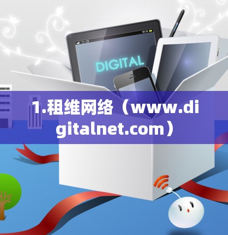 1.租维网络(www.digitalnet.com)