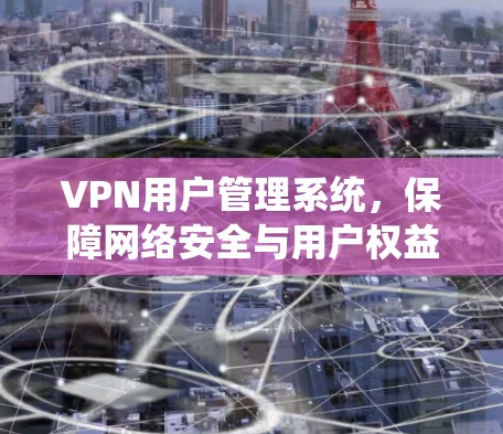 VPN用户管理系统,保障网络安全与用户权益 VPN用户管理系统,保障网络安全与用户权益