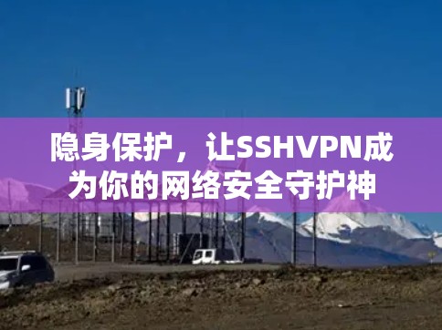 隐身保护,让SSHVPN成为你的网络安全守护神