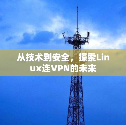 从技术到安全,探索Linux连VPN的未来