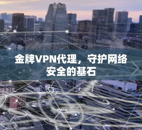金牌VPN代理，守护网络安全的基石