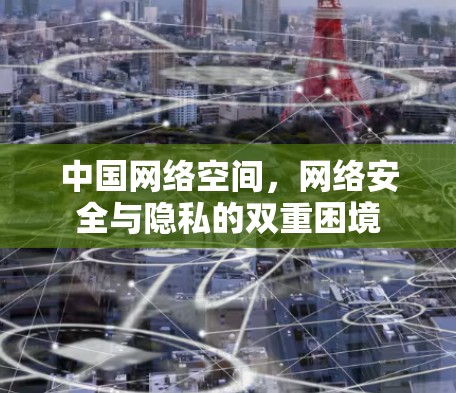 中国网络空间,网络安全与隐私的双重困境