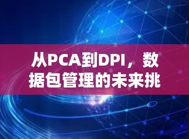 从PCA到DPI，数据包管理的未来挑战与机遇