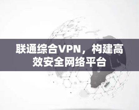 联通综合VPN,构建高效安全网络平台