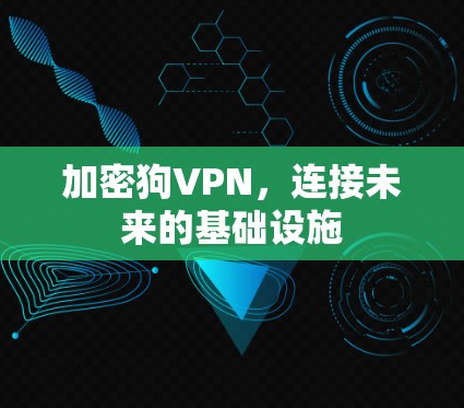 加密狗VPN,连接未来的基础设施
