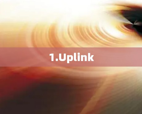 1.Uplink 1.Uplink