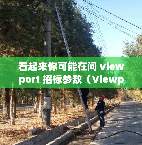 看起来你可能在问 viewport 招标参数（Viewport Parameters）或者是VPN（VPS）的某些参数。以下是我对相关问题的解释