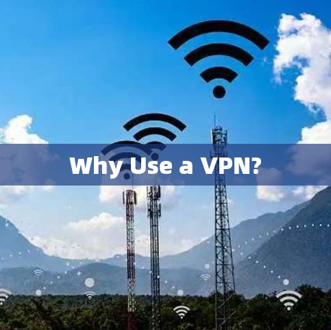 Why Use a VPN? Why Use a VPN?