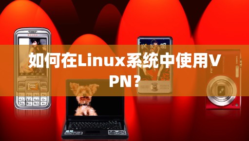 如何在Linux系统中使用VPN？