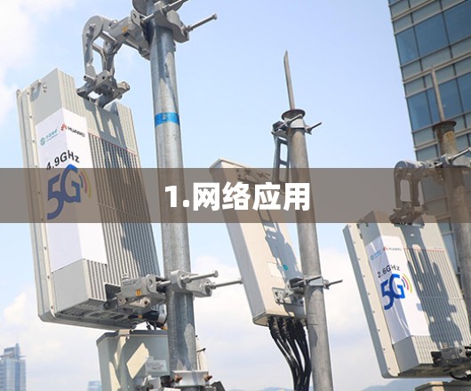 1.网络应用