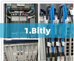 1.Bitly