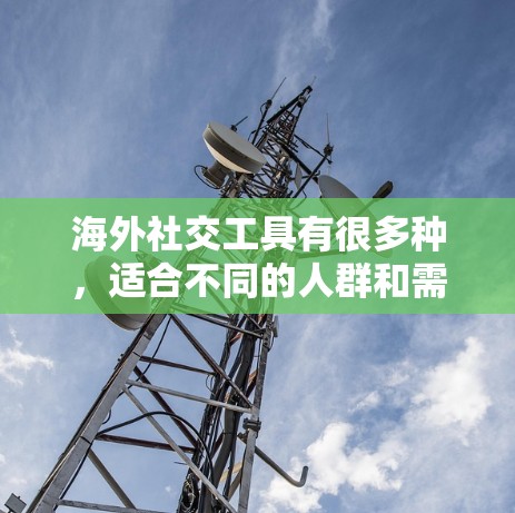 海外社交工具有很多种，适合不同的人群和需求。以下是一些常见的海外社交工具