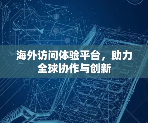 海外访问体验平台，助力全球协作与创新