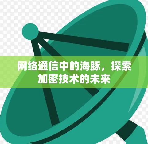 网络通信中的海豚,探索加密技术的未来 网络通信中的海豚,探索加密技术的未来