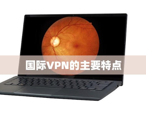 国际VPN的主要特点