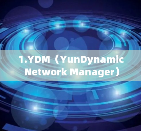 1.YDM(YunDynamic Network Manager) 1.YDM(YunDynamic Network Manager)
