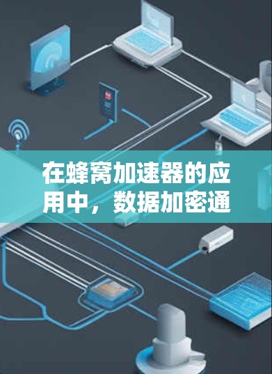 在蜂窝加速器的应用中,数据加密通常是为了确保数据的安全性和不可被窃取或篡改。蜂窝网络可能使用射频识别(RFID)技术,因此数据加密在蜂窝网络中非常重要 在蜂窝加速器的应用中,数据加密通常是为了确保数据的安全性和不可被窃取或篡改。蜂窝网络可能使用射频识别(RFID)技术,因此数据加密在蜂窝网络中非常重要