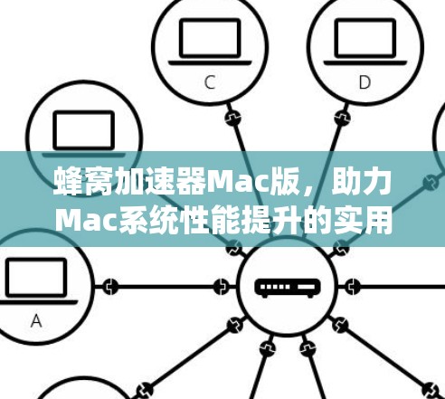 蜂窝加速器Mac版,助力Mac系统性能提升的实用工具 蜂窝加速器Mac版,助力Mac系统性能提升的实用工具