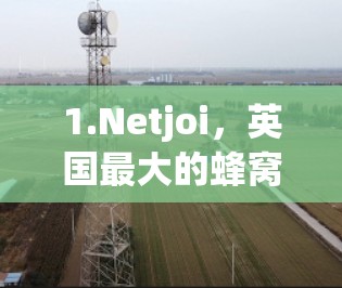 1.Netjoi，英国最大的蜂窝VPN服务提供商之一，提供多种服务，包括本地化、国际化和企业服务