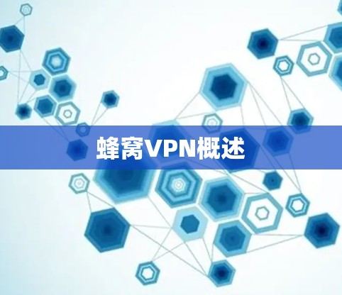 蜂窝VPN概述