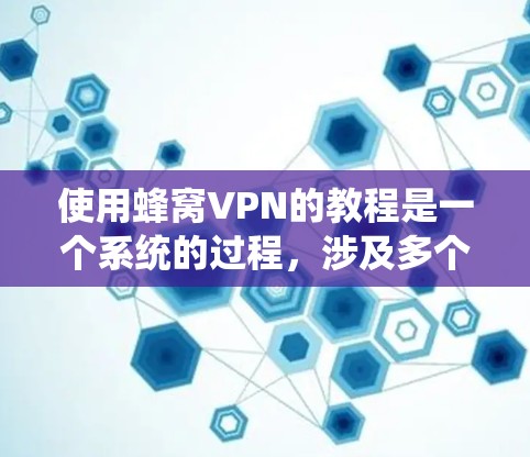 使用蜂窝VPN的教程是一个系统的过程，涉及多个步骤和设置。以下是一个清晰的指南，帮助你顺利使用蜂窝VPN