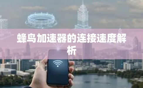 蜂鸟加速器的连接速度解析 蜂鸟加速器的连接速度解析
