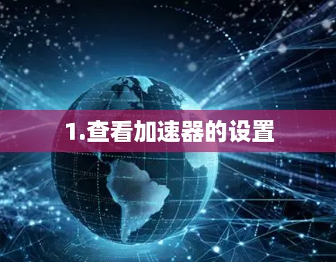 1.查看加速器的设置 1.查看加速器的设置