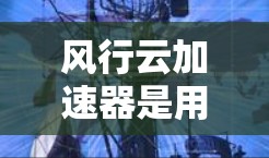 风行云加速器是用于加速数据传输的设备，通常用于云存储、云计算等场景。连接到外网需要考虑外网连接的物理接口、无线技术、网络配置以及设备的性能和稳定性。以下是详细的步骤和信息