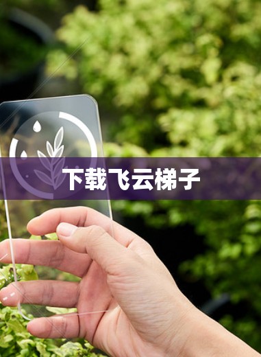 下载飞云梯子 下载飞云梯子