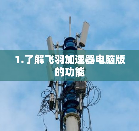 1.了解飞羽加速器电脑版的功能 1.了解飞羽加速器电脑版的功能