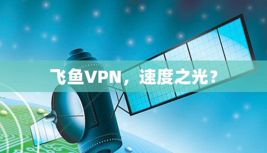 飞鱼VPN,速度之光? 飞鱼VPN,速度之光?