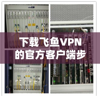 下载飞鱼VPN的官方客户端步骤如下 下载飞鱼VPN的官方客户端步骤如下