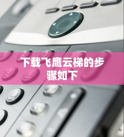 下载飞鹰云梯的步骤如下 下载飞鹰云梯的步骤如下