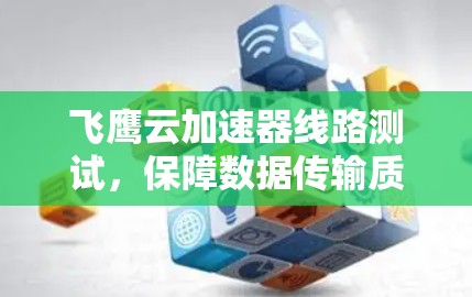 飞鹰云加速器线路测试，保障数据传输质量的金键