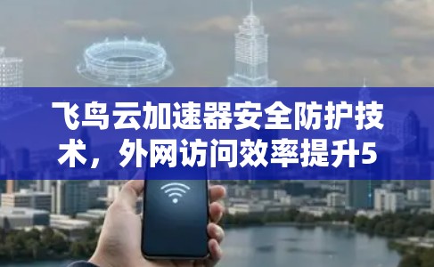 飞鸟云加速器安全防护技术,外网访问效率提升5% 飞鸟云加速器安全防护技术,外网访问效率提升5%