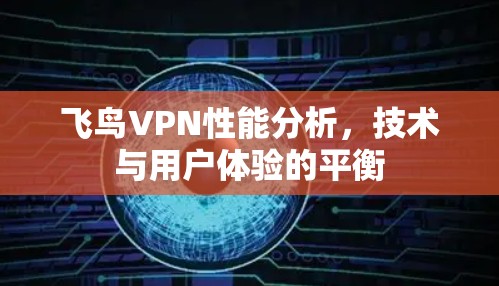 飞鸟VPN性能分析,技术与用户体验的平衡 飞鸟VPN性能分析,技术与用户体验的平衡