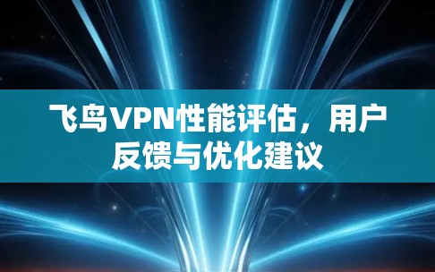 飞鸟VPN性能评估，用户反馈与优化建议