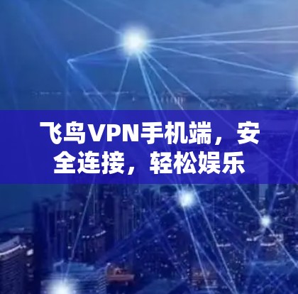 飞鸟VPN手机端,安全连接,轻松娱乐 飞鸟VPN手机端,安全连接,轻松娱乐