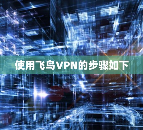 使用飞鸟VPN的步骤如下 使用飞鸟VPN的步骤如下