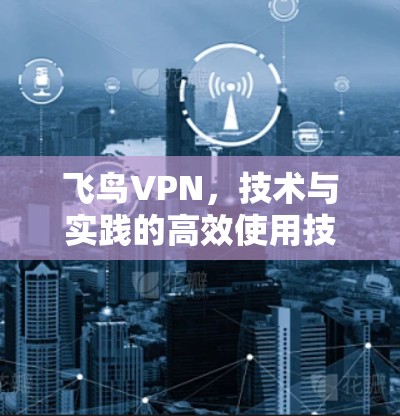 飞鸟VPN,技术与实践的高效使用技巧 飞鸟VPN,技术与实践的高效使用技巧