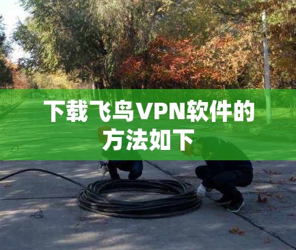下载飞鸟VPN软件的方法如下 下载飞鸟VPN软件的方法如下