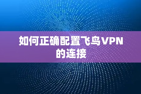如何正确配置飞鸟VPN的连接 如何正确配置飞鸟VPN的连接