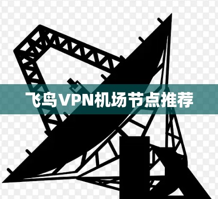 飞鸟VPN机场节点推荐 飞鸟VPN机场节点推荐